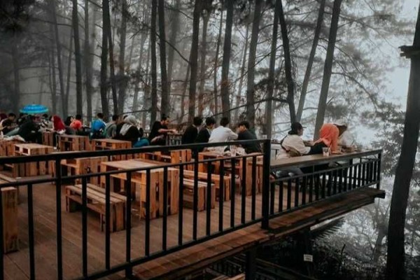 Hutan Pinus Mangunan: Tempat Nongkrong Asik buat Kamu yang Suka Senja